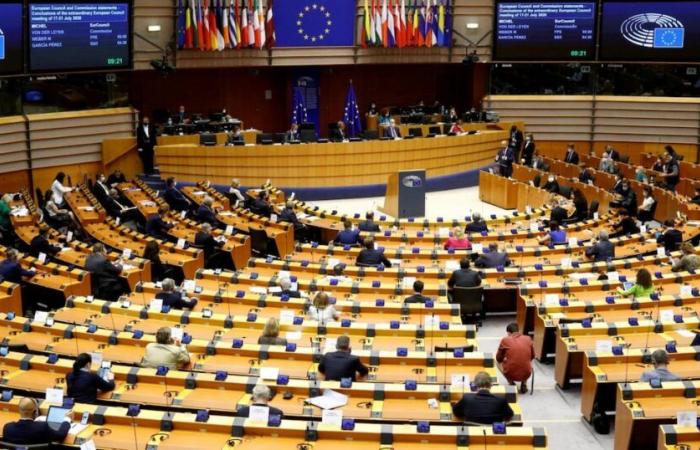 European Parliament: the swan song of the Polisario relayed by the far left