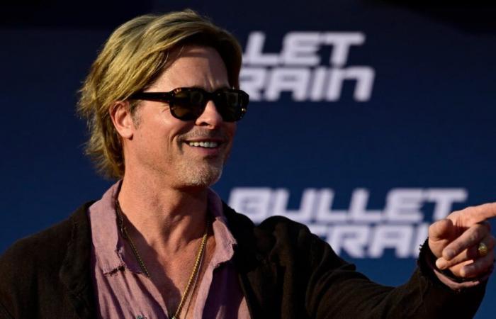 Victim of fake Brad Pitt scam cyber-harassed