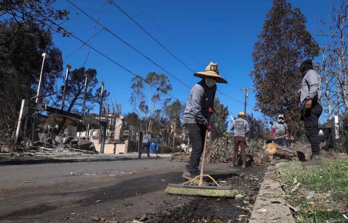 Fires in Los Angeles: new strong wind gusts expected