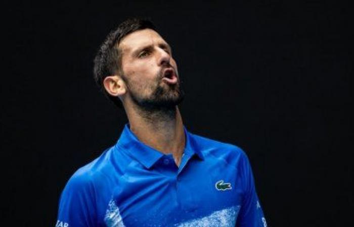 Djokovic drops a set, Alcaraz calm