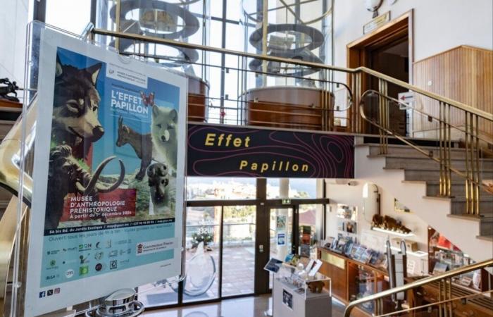 A new exhibition takes place at the Museum of Prehistoric Anthropology of Monaco