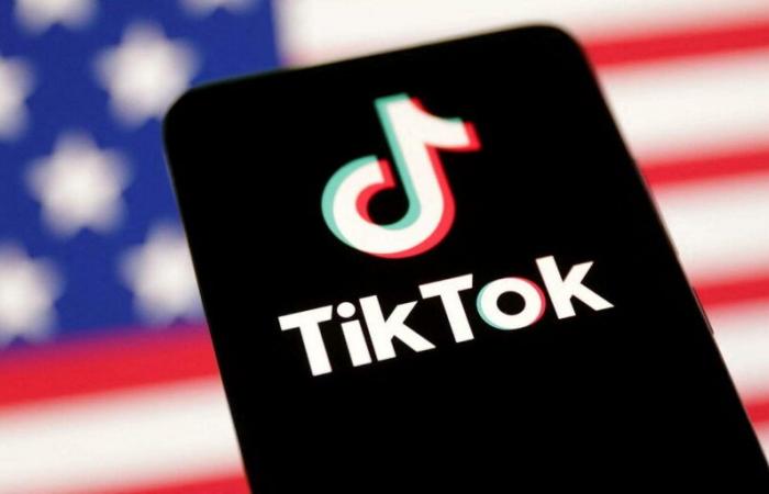 After X, Elon Musk would consider buying the American branch of the social network TikTok