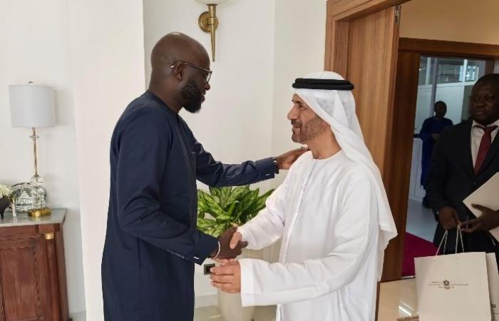 National Assembly-Strengthening diplomatic and parliamentary relations: President El Malick Ndiaye grants audiences to the ambassadors of the United Arab Emirates, Malaysia and Cape Verde