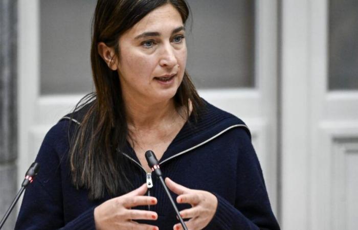 a reform yes, but no “disaster scenarios”, assures Zuhal Demir