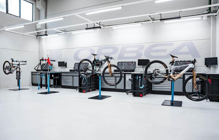 Transfer 2025 | Orbea Fox Factory Team: change at all levels ⋆ Vojo