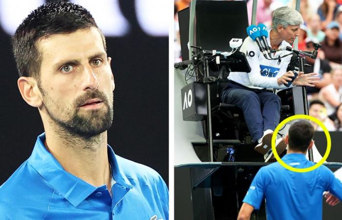 Novak Djokovic rocked after mid-match ‘insanity’ as Carlos Alcaraz makes statement