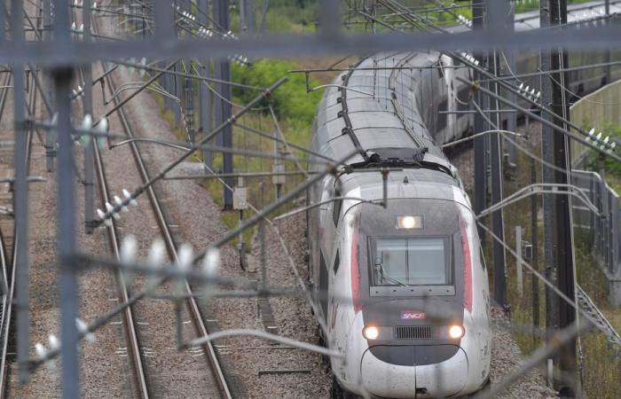 train traffic partially interrupted in Savoie after an “act of vandalism”