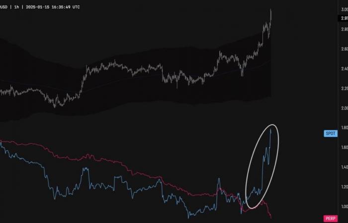 XRP rally to $3 holds, overtaking Bitcoin searches on Google Trends — TradingView News