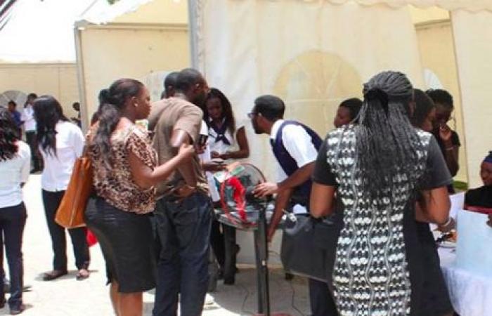 Unemployment of young graduates: stakeholders call on the State for more transparency in recruitment