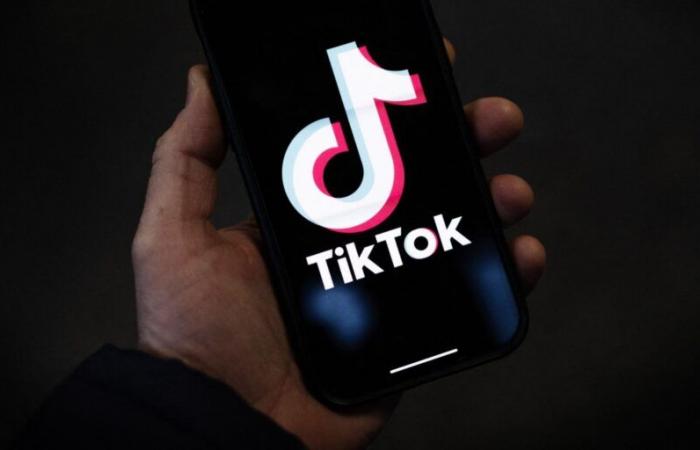 Elon Musk in discussions to buy TikTok in the USA, a “pure fiction” according to the platform