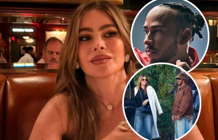 Sofia Vergara would have fallen for Lewis Hamilton