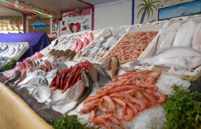 6% increase in the value of fishery products marketed in 2024