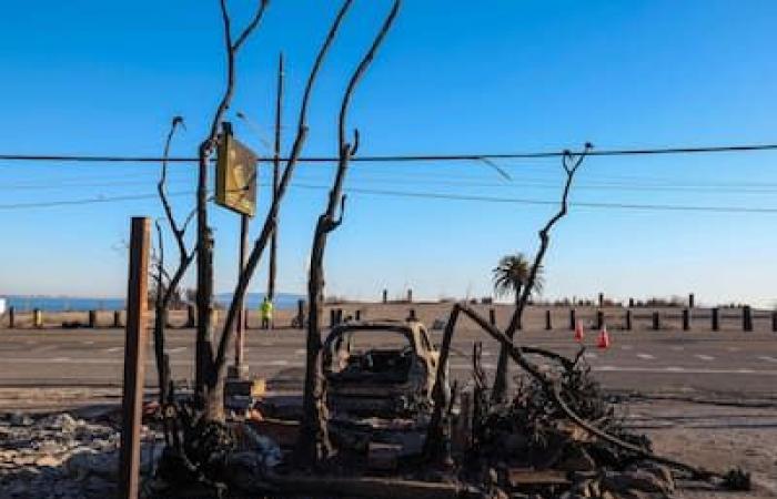 IN PICTURES | Fires in Los Angeles: wind gusts of up to 110 km/h threaten to fan the fires