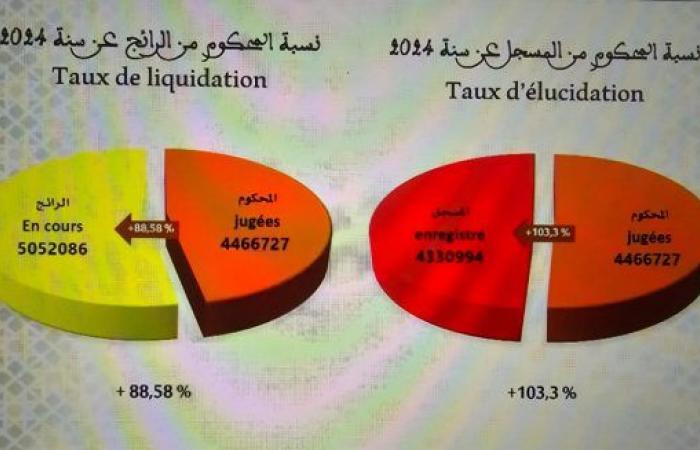 Abdel Nabawi: The courts have been known to falter in exercising their duties in 2024 due to strikes, yet 4 million records and more than 330 thousand new files (documents)