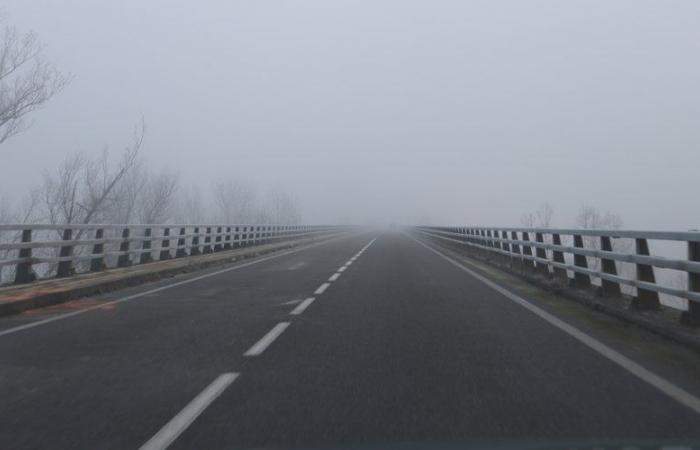 Black ice in Tarn-et-Garonne: a Department agent hit by a car while measuring the road temperature on a bridge