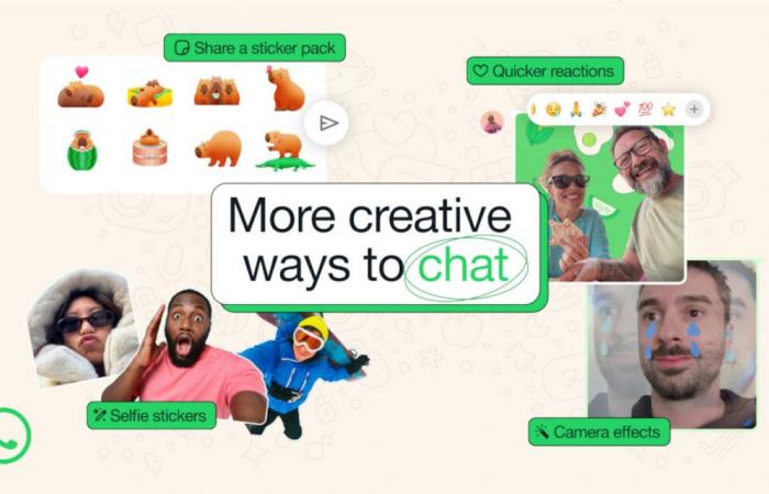 WhatsApp is full of new options that will appeal to those who love to personalize their discussions