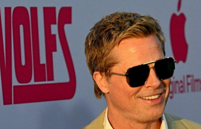 Why was the TF1 report on a woman defrauded by a fake Brad Pitt withdrawn?