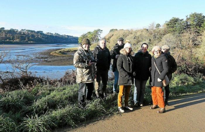 In Pont-Croix, the mobilization against the future treetop adventure park is gaining momentum