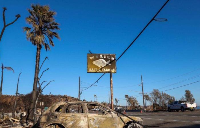 Fires in Los Angeles: new strong wind gusts expected