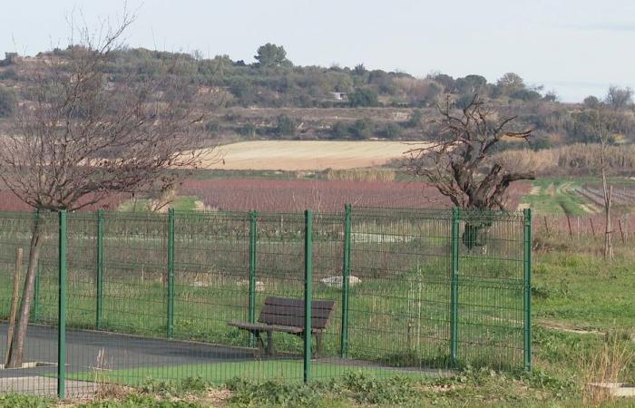 “We are not going to make people happy in spite of themselves!”, the Hérault department buries a winter water retention project for wine growers