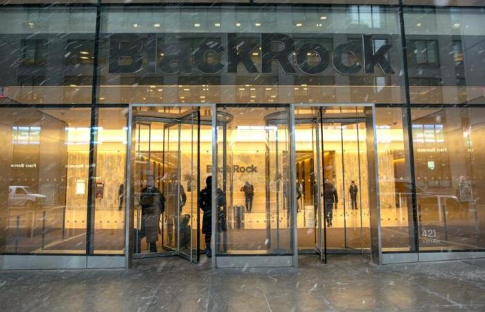 BlackRock’s turnover exceeds $20 billion in 2024