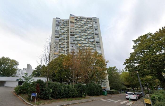 Haut-Rhin. The Plein ciel towers threatened with destruction finally saved by the courts in Mulhouse