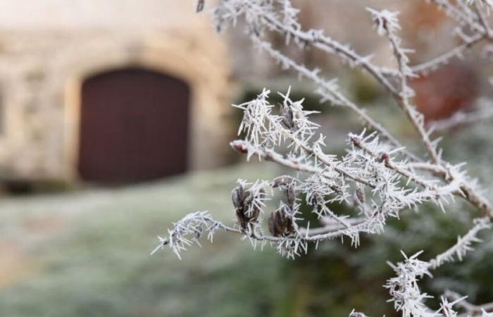 Haute-Loire. End of “very cold” vigilance for the department, but the Loire remains on alert until Thursday