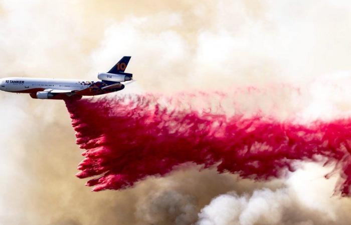 Los Angeles fires: what is Phos-Check, this pink powder dropped by Canadairs to fight the flames?