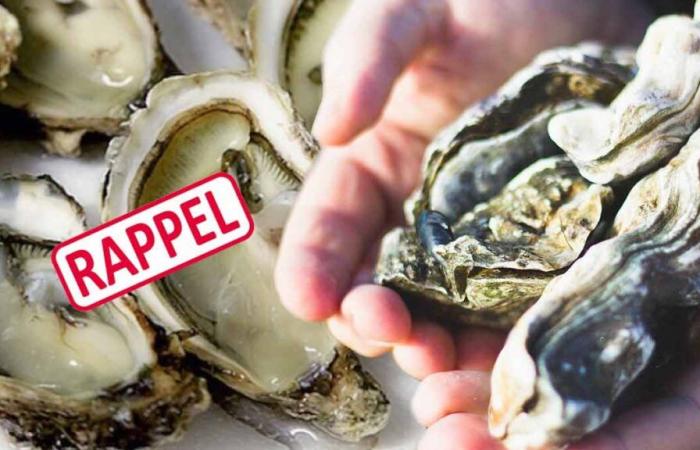 Watch out for the Normandy oysters sold at Lidl!