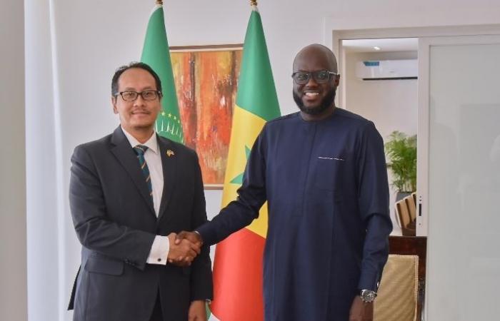 National Assembly-Strengthening diplomatic and parliamentary relations: President El Malick Ndiaye grants audiences to the ambassadors of the United Arab Emirates, Malaysia and Cape Verde