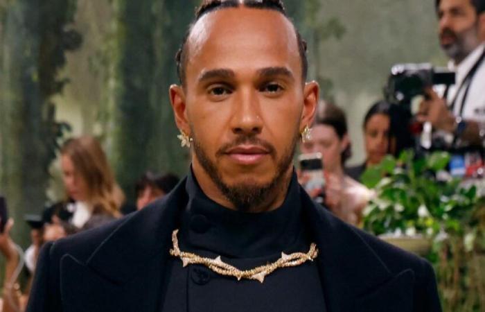 Sir Lewis Hamilton, 40, sparks dating rumours with TV comedy icon, 52