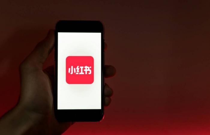 the alternative to TikTok attracts thousands of US users