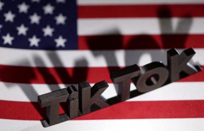 TikTok bought by Elon Musk? “A pure fiction”, according to the Chinese social network