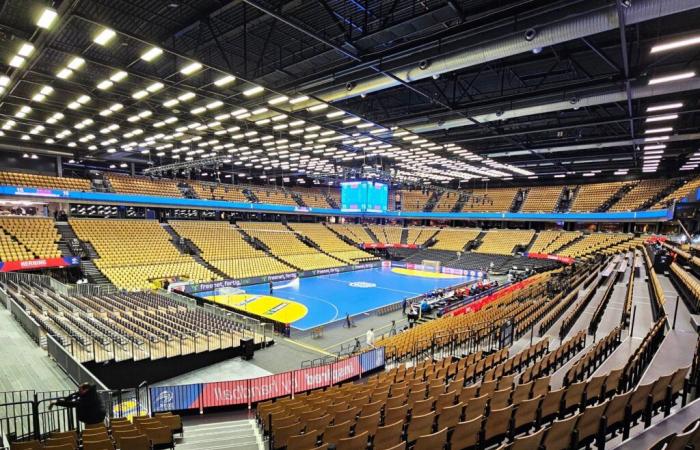 Five halls in three countries: These are the venues for the Handball World Cup