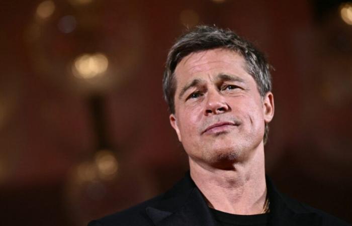 Brad Pitt reacts to the celebrity scam suffered by a French woman