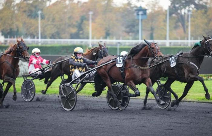 The Prix d’Amérique Legend Race and the ideal age