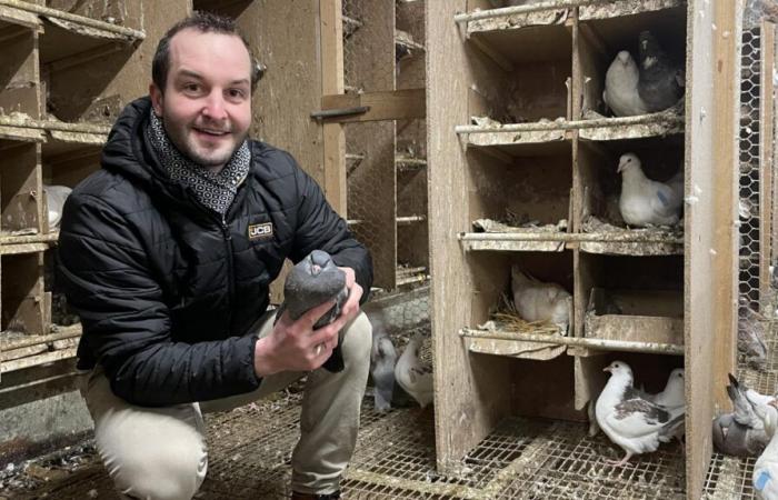 pigeon breeding, Kenny Violette's new cap