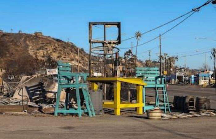 IN PICTURES | Fires in Los Angeles: wind gusts of up to 110 km/h threaten to fan the fires