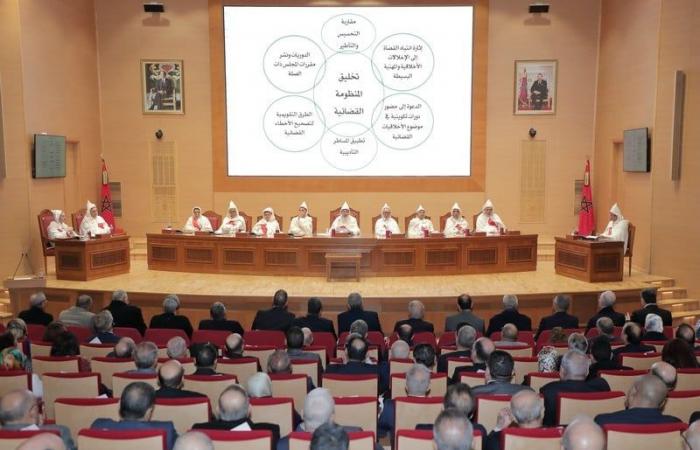 Abdel Nabawi praises the performance of the Moroccan judiciary