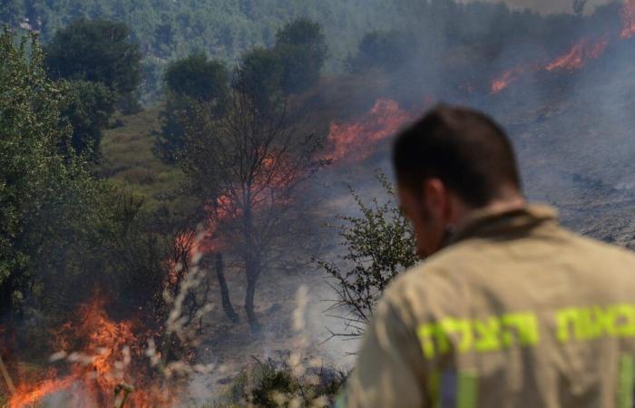 Officials say Israel is not equipped to fight Los Angeles-style forest fires