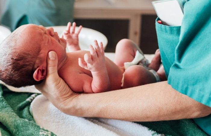 Generation Alpha is over: this is what babies born in 2025 are nicknamed