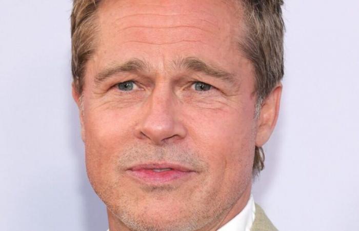 The entourage of the real Brad Pitt reacts to Anne’s testimony and sends a message