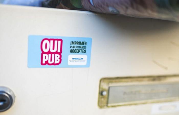 what results for the “Oui Pub” experiment?