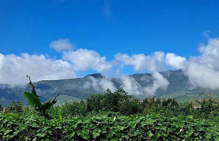 sunshine this morning, clouds in the afternoon and still 32 to 34°C