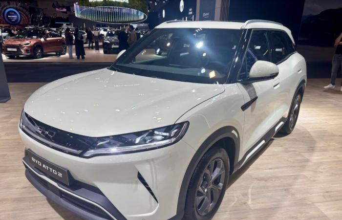 New BYD Atto 2 (2025): the small electric SUV takes a crowd bath at the Brussels Motor Show