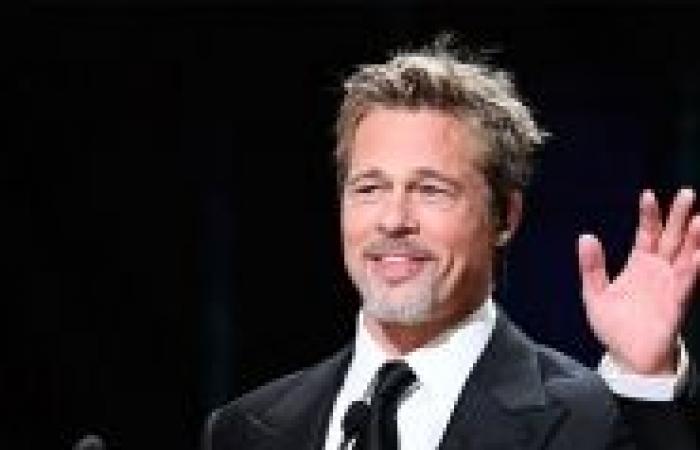 ‘It’s terrible that scammers are taking advantage of fans’: Brad Pitt reacts to the scam that ruined Anne