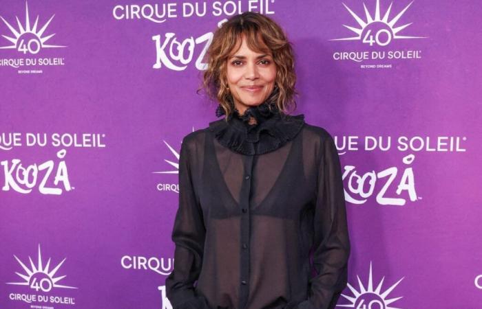 Fires in Los Angeles: Halle Berry makes a significant donation for the victims