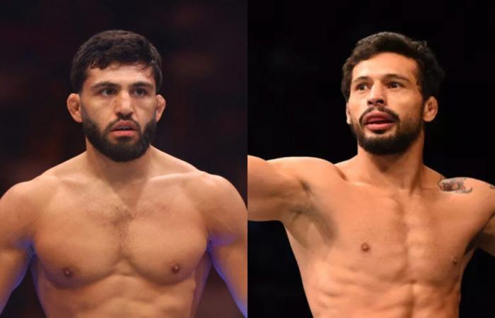 The athlete who lost KO Islam Makhachev’s impression was Arman Tsarukyan