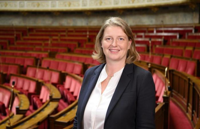 Maine-et-Loire. “The use of restaurant vouchers finally extended! », rejoices MP Anne-Laure Blin