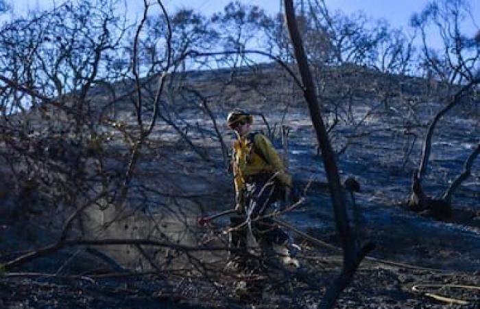 IN PICTURES | No respite in fires in Los Angeles, where the wind blows